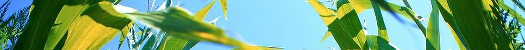 Greencar News Greencar News